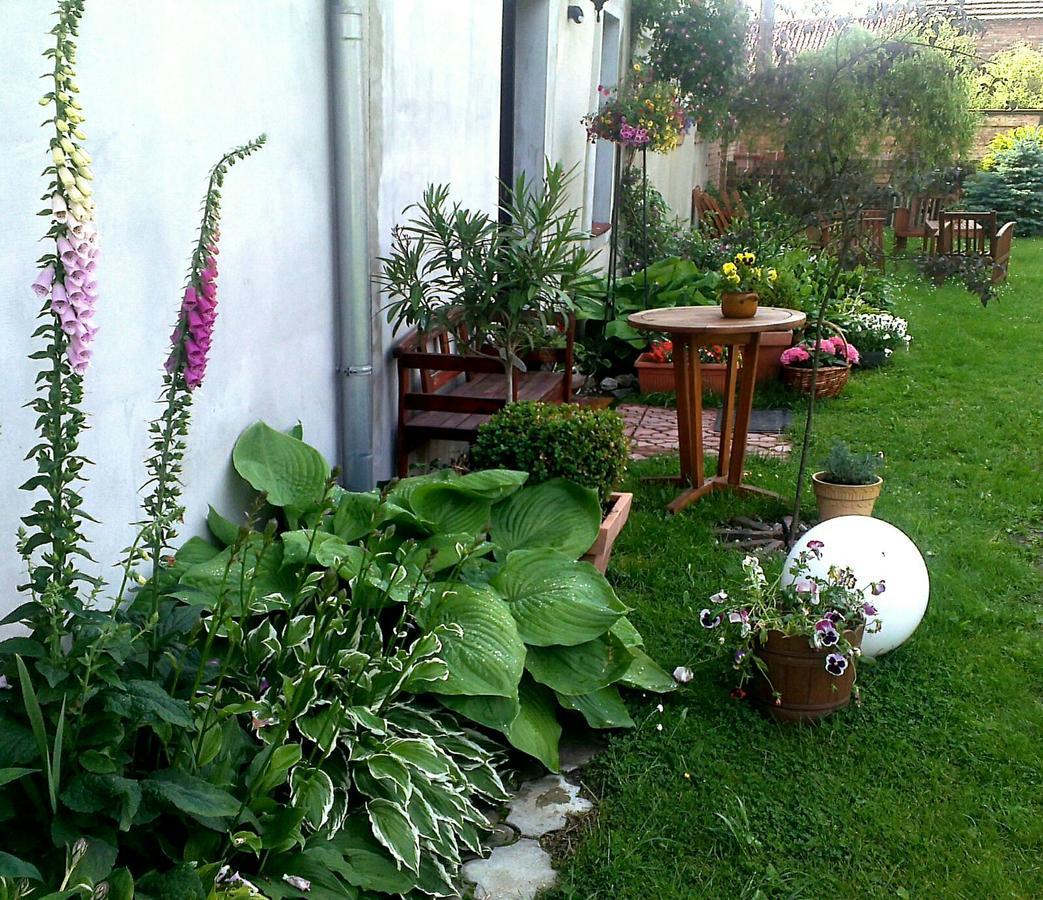 Guest House Wiejska Sielanka Brody  Exterior foto
